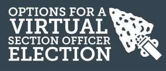 Options for a Virtual Section Officer Election